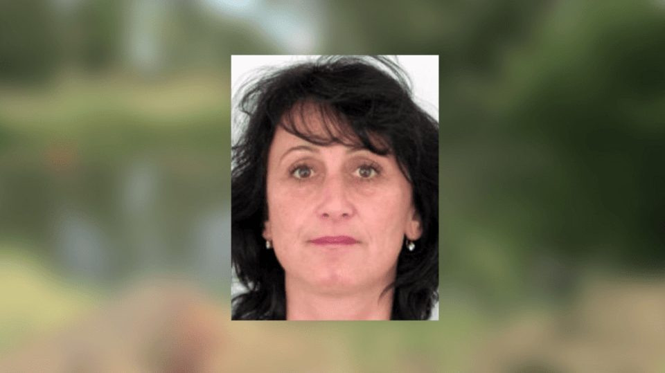 Zmizelá žena
